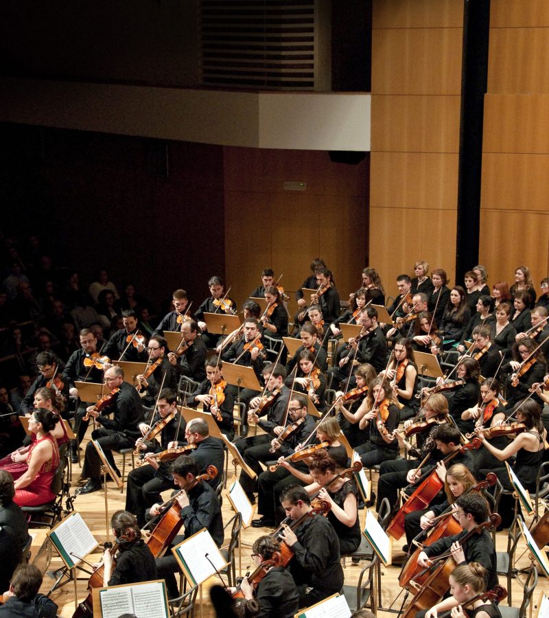 Classical music concert: symphony orchestra